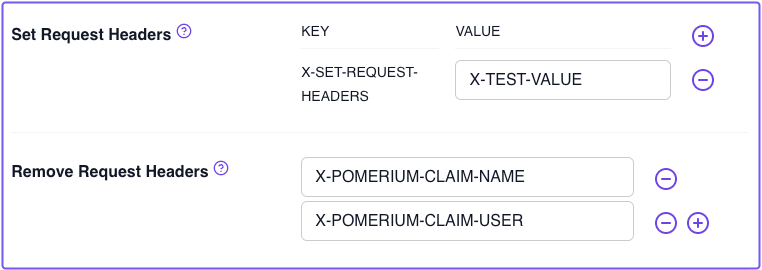 Setting and removing HTTP request headers in the Zero Console